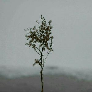 成熟女人记录自己被一根大黑屌操得快感不断
