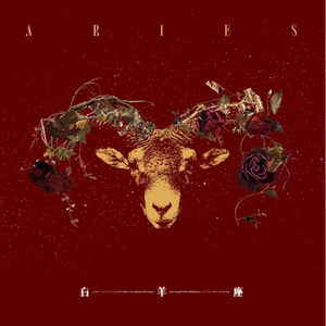 成熟女人记录自己被一根大黑屌操得快感不断
