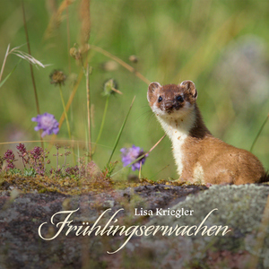 成熟女人记录自己被一根大黑屌操得快感不断

